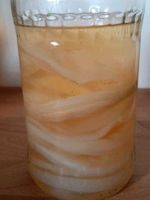 Kombucha Teepilz Scoby Niedersachsen - Geeste Vorschau