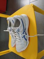 Asics Sportschuhe Gr 40 Niedersachsen - Lingen (Ems) Vorschau