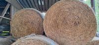 Bio Ökobetrieb Stroh zu verkaufen Einstreu Kuh Rind Pferd Nordrhein-Westfalen - Detmold Vorschau