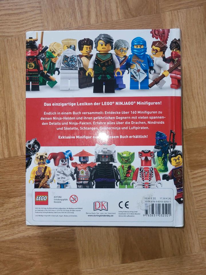 Lego Ninjago Lexikon und Sammelkarten in Bleialf 