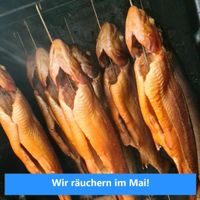Forelle Lachs geräuchert Lachsforelle Niedersachsen - Zeven Vorschau