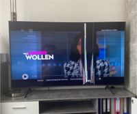 Samsung 65 Zoll 4K Ultra HD Leipzig - Leipzig, Zentrum Vorschau