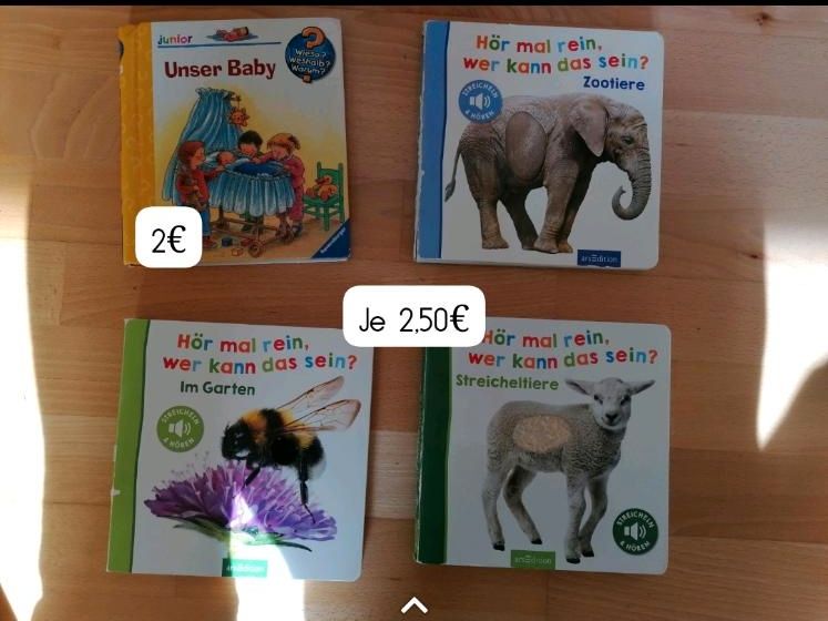 Spielzeug Bücher Spiele Kind Baby Soundbücher Kinderwagenkette in Röthenbach