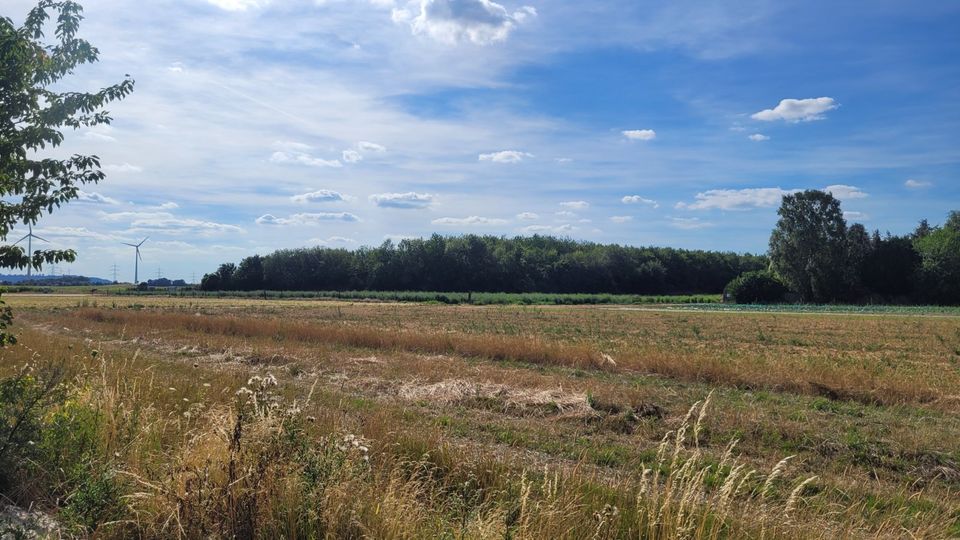 EFH mit großem Grundstück in Merken in Düren