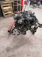 MOTOR DFH 2.0 TDI KOMPLETT Nordrhein-Westfalen - Ratingen Vorschau