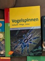 Buch Vogelspinnen Herkunft Pflege Arten Schleswig-Holstein - Bad Segeberg Vorschau