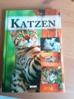 Fachbuch über Katzen Rostock - Reutershagen Vorschau