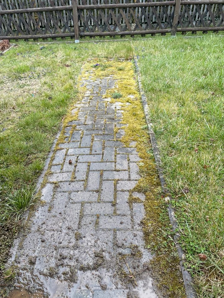 Steinreinigung Terrassenreinigung Pflasterreinigung in Helbra