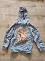 Paw Patrol Pullover Gr. 110/116 Essen - Essen-Borbeck Vorschau