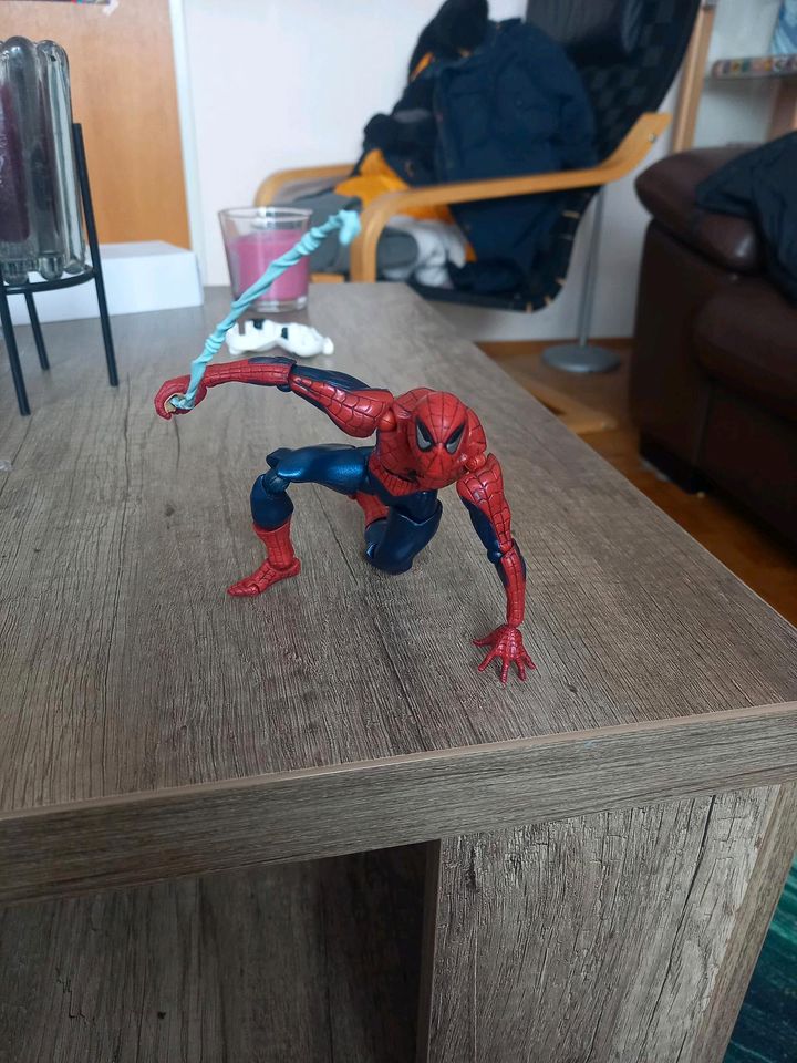 Spiderman Figur in Kall