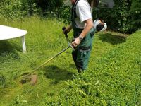 Übernehme Gartenarbeiten,Freischneiden von hohen Gräsern,Abtransp Sachsen - Grimma Vorschau