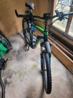 E bike Mountainbike Nordrhein-Westfalen - Erndtebrück Vorschau