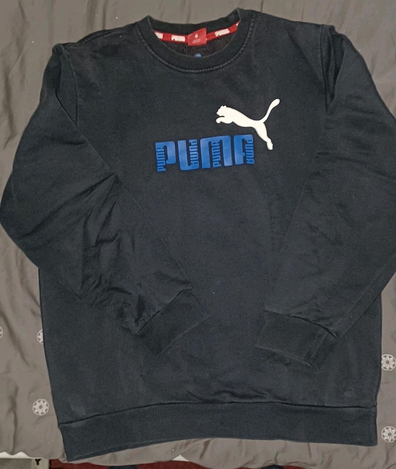 Puma Sweatshirt in Riede