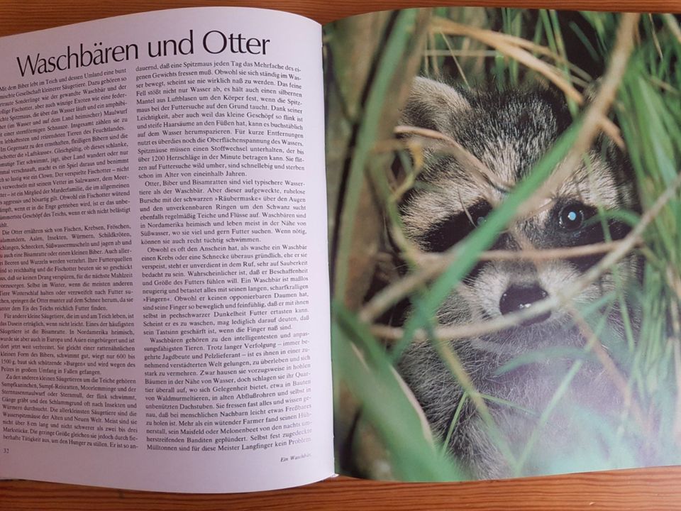 "Biber" und andere "Teichbewohner" von Time-Life in Stuttgart