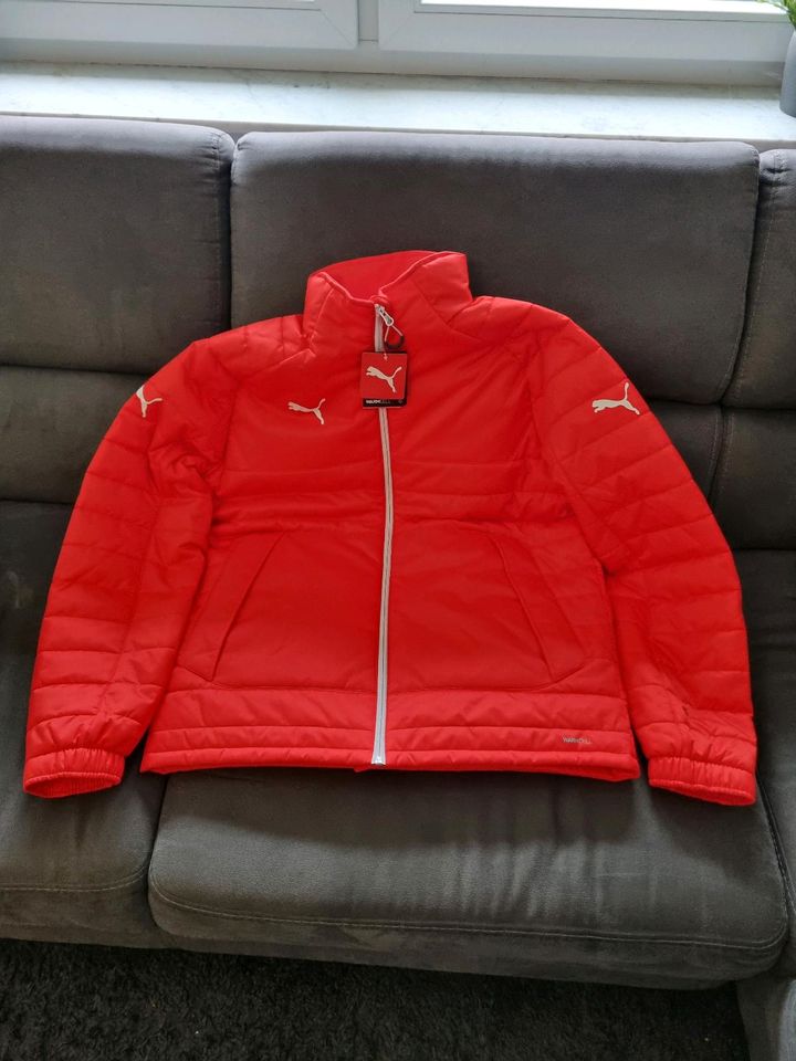 Puma Stadium Jacket Jacke Rot Neu Winter Herbst in Hessen - Hüttenberg |  eBay Kleinanzeigen ist jetzt Kleinanzeigen