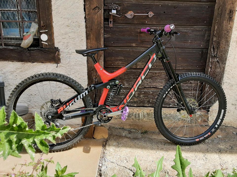 Norco Aurum Carbon DH in Efringen-Kirchen