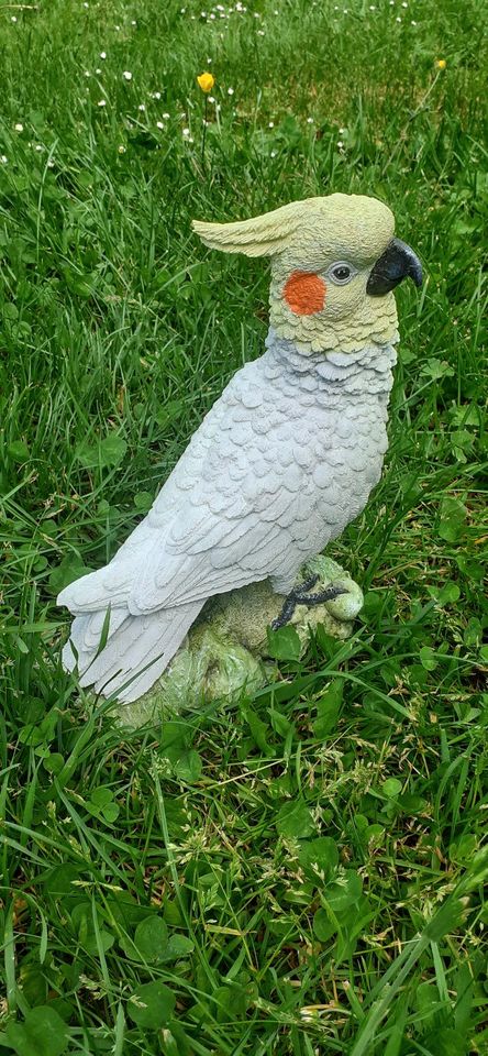 Kakadu Vogel aus Beton Deko figur Garten deko in Amberg