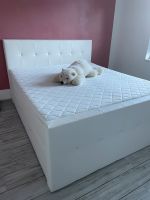 Boxspringbett Bett mit Topper 1,80x2,00 Mecklenburg-Vorpommern - Wismar Vorschau