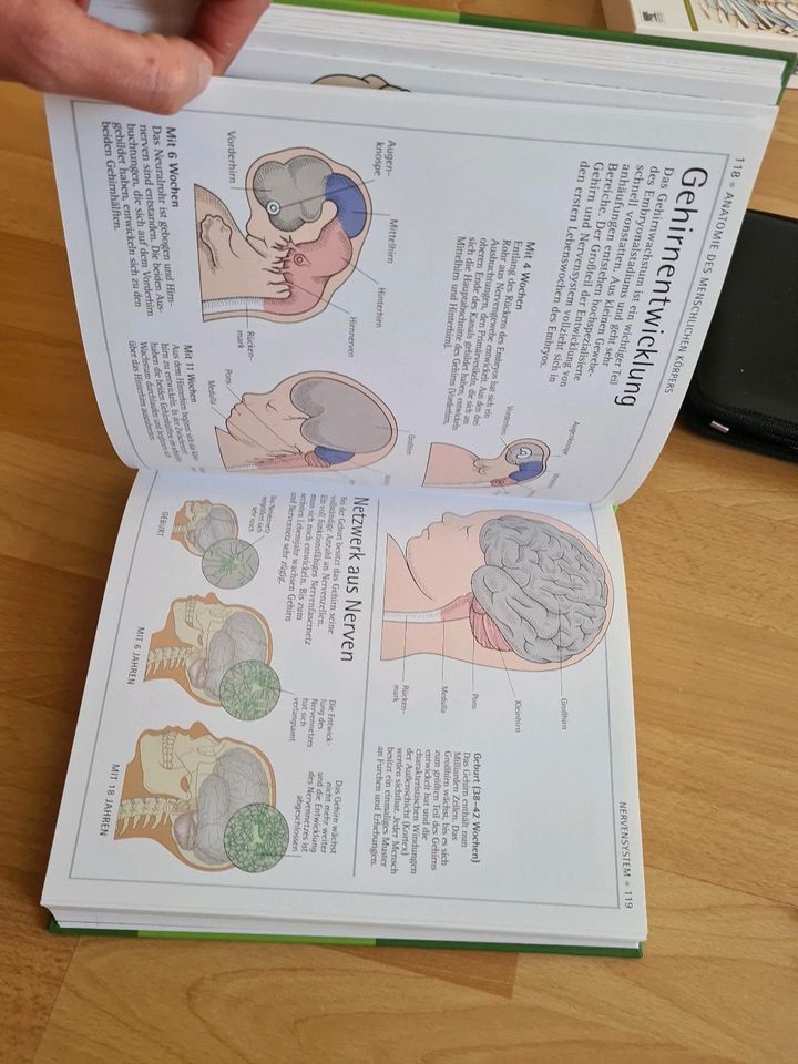 Medizinbuch: Anatomie Atlas in Berlin