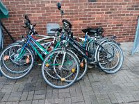Diverse Fahrräder zu verkaufen Nordrhein-Westfalen - Dörentrup Vorschau