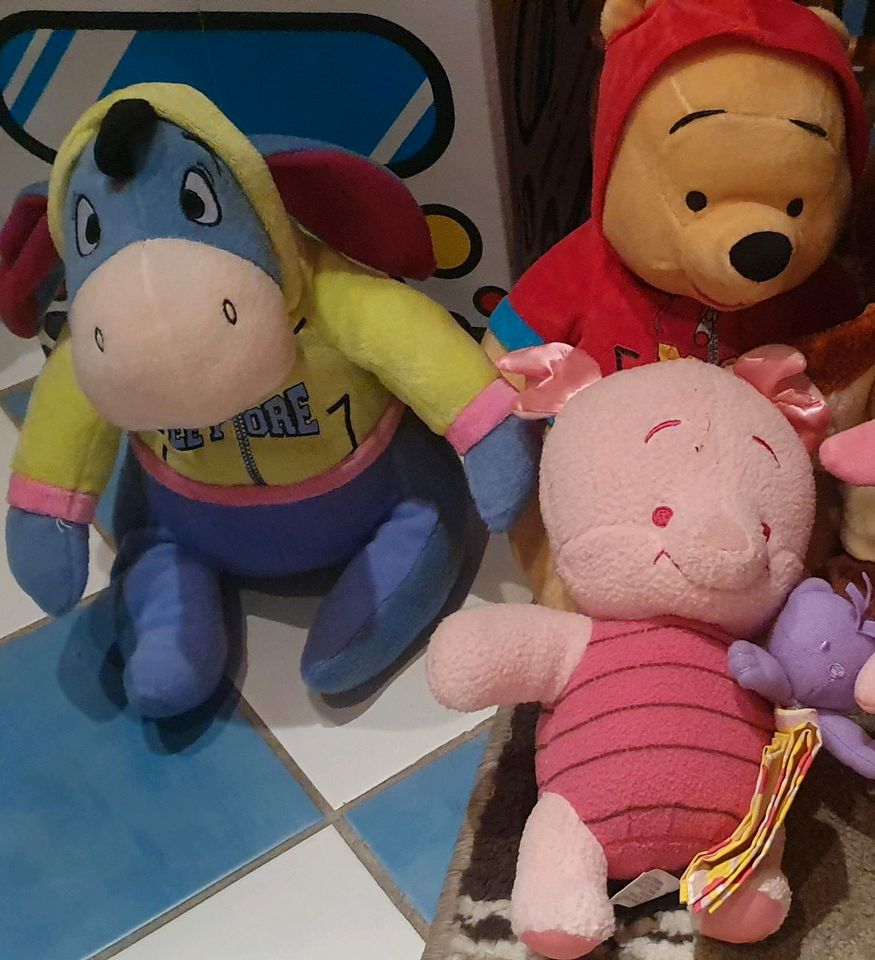 Winni pooh Kuscheltiere in Zeitlarn