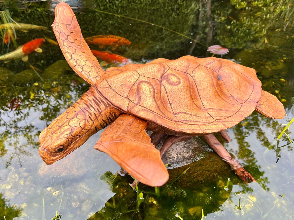 Schildkröte 60cm Meeresschildkröte Wasserschildkröte Holz in Essen