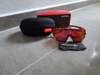 ALPINA Sonnenbrille HAWKEYE Q-Lite Bayern - Schrobenhausen Vorschau