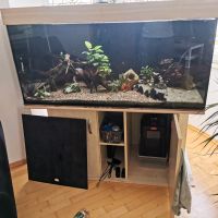 Aquarium 450 Liter  mit Unterschrank und Besatz Baden-Württemberg - Balingen Vorschau