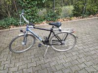 Fahrrad, 7 Gang, Rücktrittbremse, 28 Zoll Essen-West - Holsterhausen Vorschau