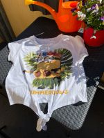 Minnons Tshirt Mädchen 146 Sachsen - Wilsdruff Vorschau