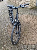 Prophete Fahrrad Niedersachsen - Wunstorf Vorschau
