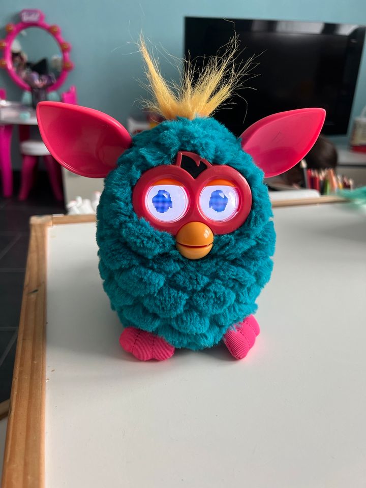 Furby sucht neues zuhause türkis pink in Bad Berleburg