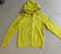 Ralph Lauren Sweatshirt-Jacke Gr. 146/152 (12-14 Jahre L) Bayern - Starnberg Vorschau