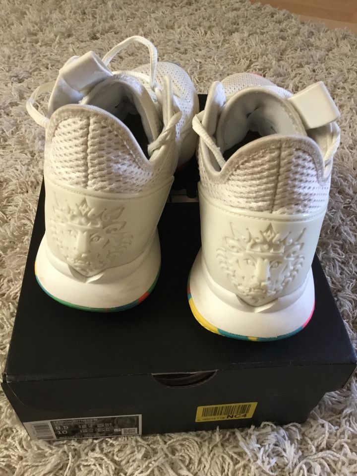 Nike LeBron Witness IV White Multi Gr. 42 OVP in Sassnitz