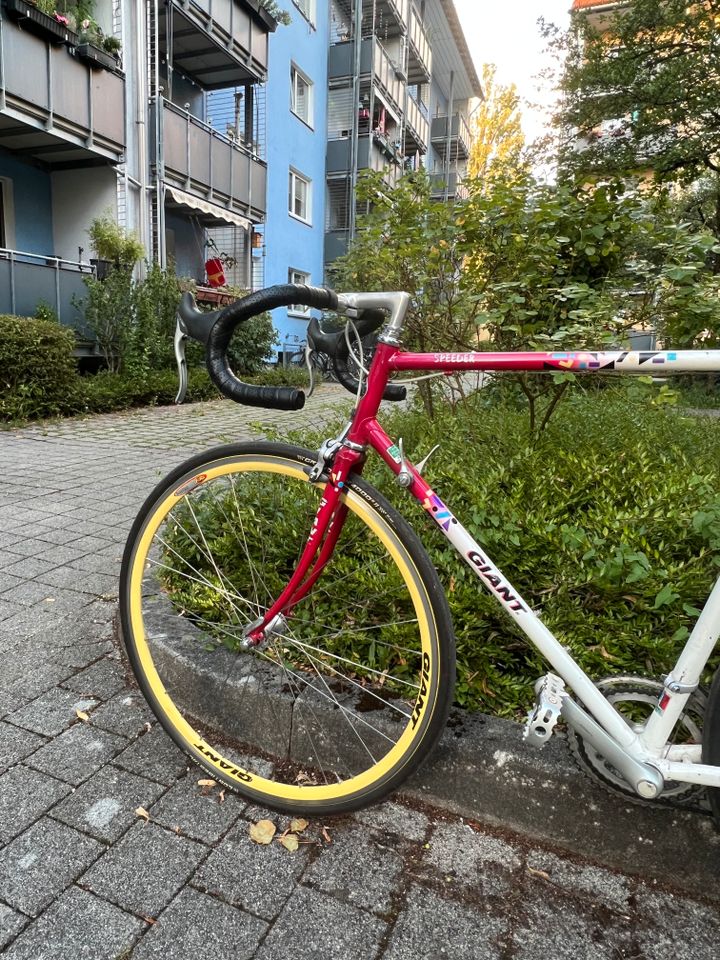 Giant Rennrad RH61 | Shimano 105 | Brooks | Vintage Fahrrad in München