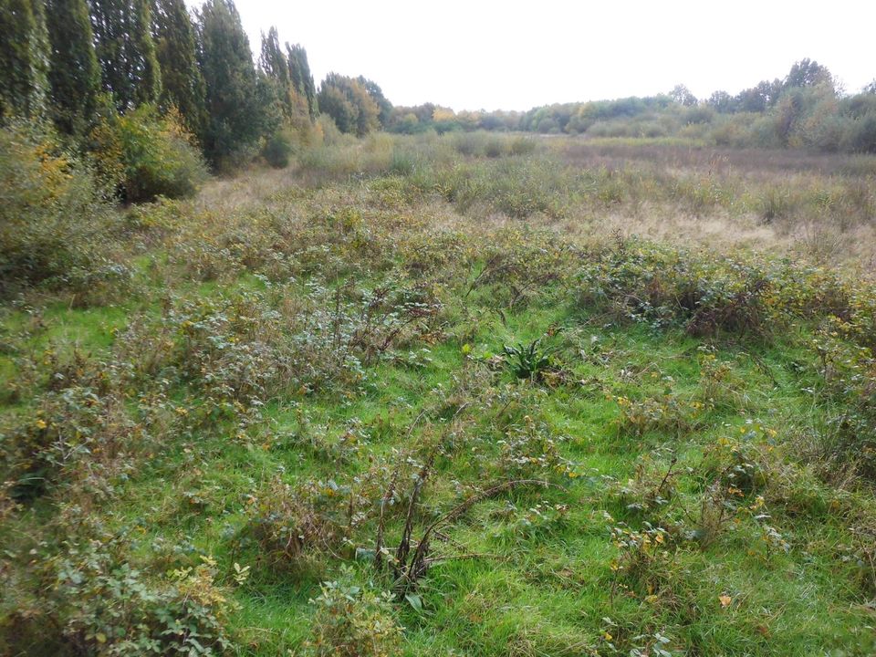 Grundstück mit Teich u. Straße in Augustfehn III in Apen