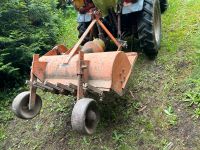 Mulcher Willibald SM95 Rheinland-Pfalz - Wörth am Rhein Vorschau