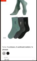 6 Damen Socken Bench bunt 39/42 Sachsen - Königsbrück Vorschau