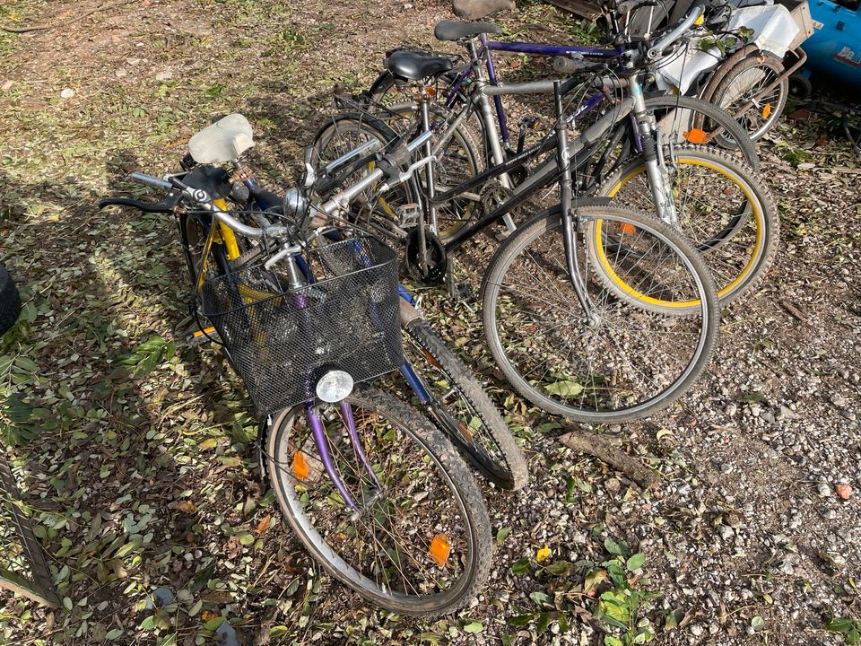 Fahrrad Fahrräder Damenrad Herrenrad Schrott in Groß Neuendorf