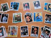 WWF WWE Merlin Trading Cards 1991 Baden-Württemberg - Mannheim Vorschau