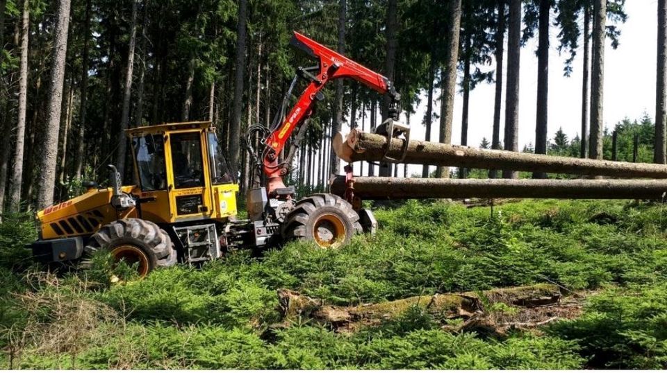 Baumfällung, Forstunternehmen, Sturmschaden in Herscheid