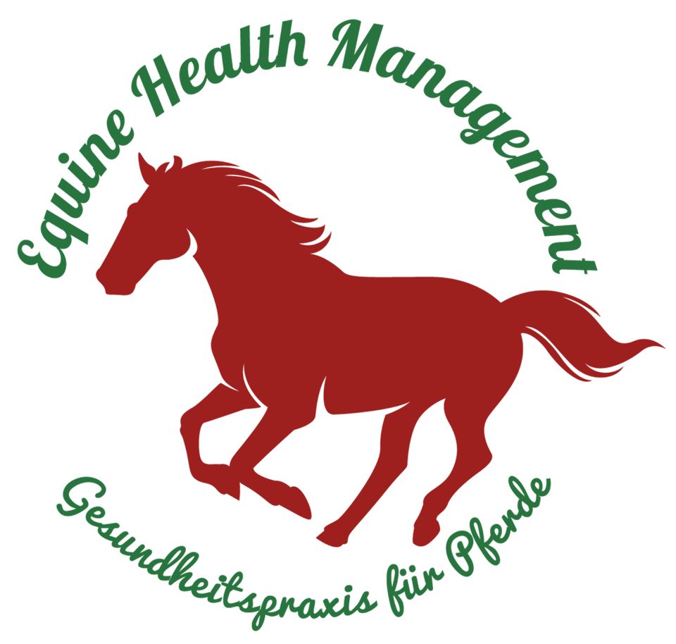 Gesundheitspraxis für Pferde - inkl Bioresonanz in Hohndorf