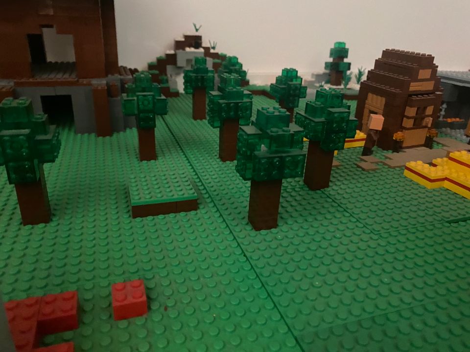 Lego Minecraft moc / welt / Sammlung / 21133 , 21128 , 21129 in Hürth