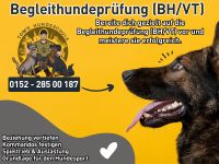 Hundeschule: Begleithunde Training in Dortmund Dortmund - Innenstadt-West Vorschau