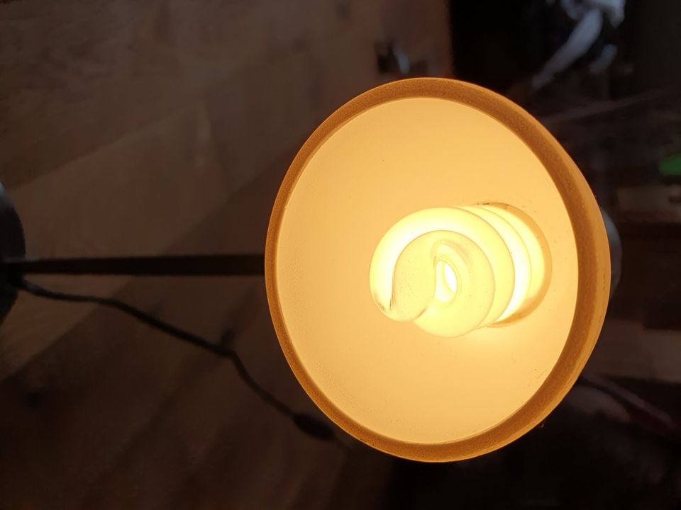 Schreibtischlampe inkl. Leuchtmittel | Edelstahl + Glas | 9 Watt in Wasserliesch