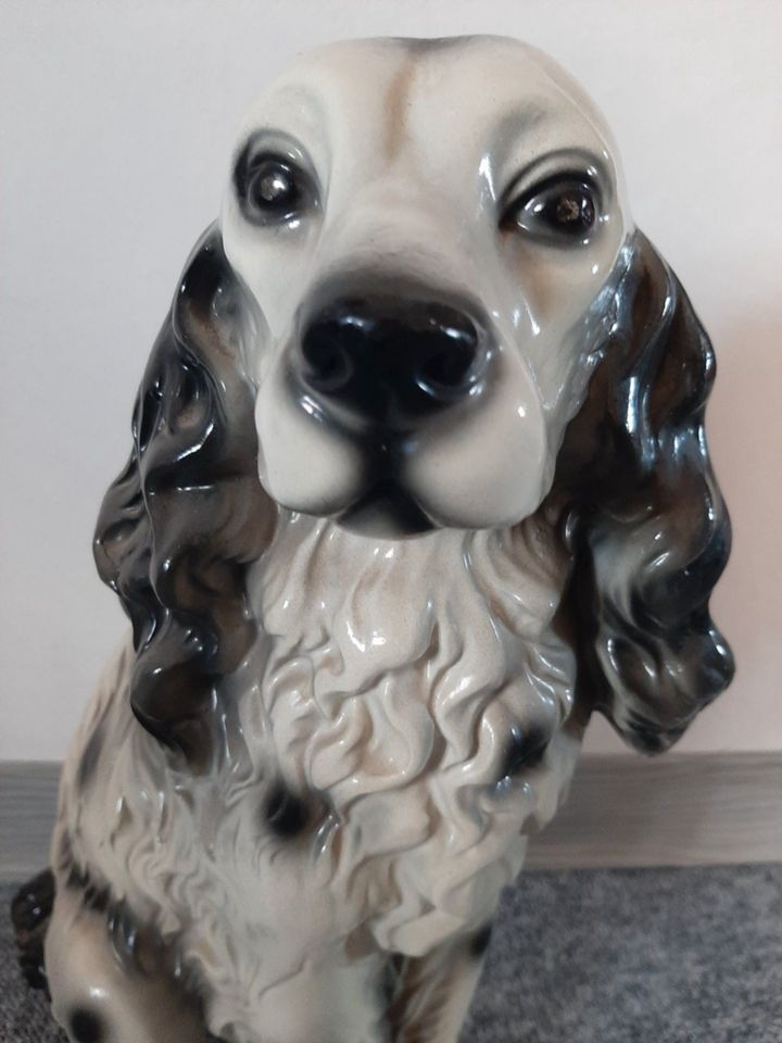 Deko Figur Hund sitzend Cocker Spaniel in Petersberg (Saalekreis)