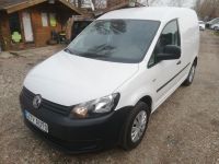 Volkswagen Caddy Kasten/Kombi Kasten EcoProfi Pankow - Französisch Buchholz Vorschau