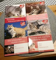 Katzen kleine Ratgeber Hefte, 4 Stück Herzogtum Lauenburg - Talkau Vorschau