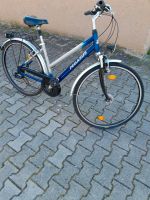 Damen Fahrrad Pegasus Bayern - Traunreut Vorschau