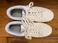 Sneaker, Schuhe, Halbschuhe, Marke: Puma, Größe: 40, weiß München - Schwanthalerhöhe Vorschau